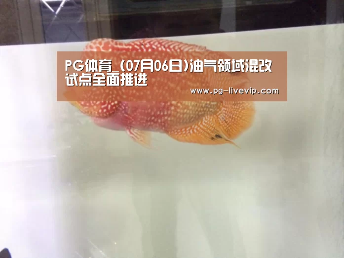 PG篮球