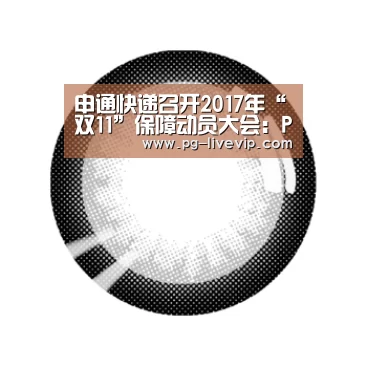 申通快递召开2017年“双11”保障动员大会:PG体育(图1) PG篮球