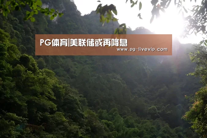 PG体育|美联储或再降息(图4) PG竞猜