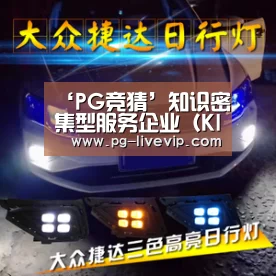 ‘PG竞猜’知识密集型服务企业(KIBS)创新能力提升对策研(图2) PG足球