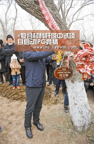 *复合材料杆塔中试项目启动|PG竞猜(图2) PG足球