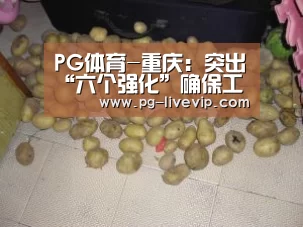 PG体育-重庆:突出“六个强化”确保工业经济平稳运行(图3) PG体育