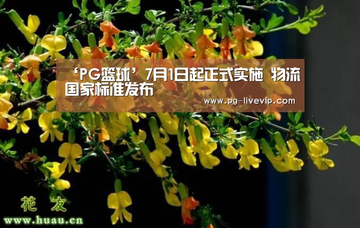 ‘PG篮球’7月1日起正式实施 物流国家标准发布(图3) PG足球
