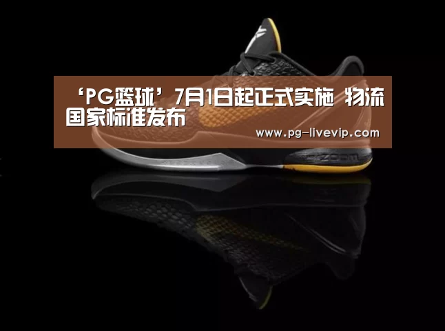 ‘PG篮球’7月1日起正式实施 物流国家标准发布(图4) PG篮球