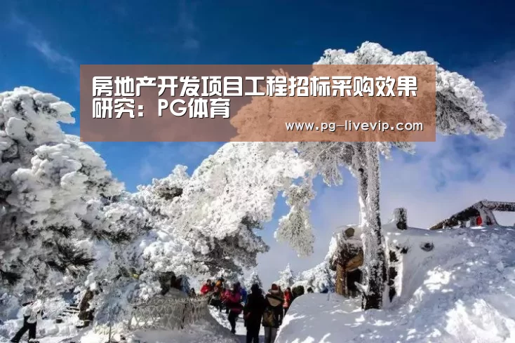 房地产开发项目工程招标采购效果研究:PG体育(图2) PG体育