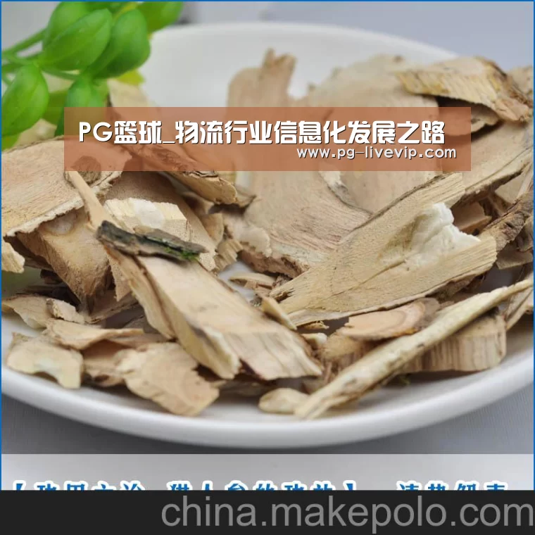 PG篮球_物流行业信息化发展之路(图1) PG篮球