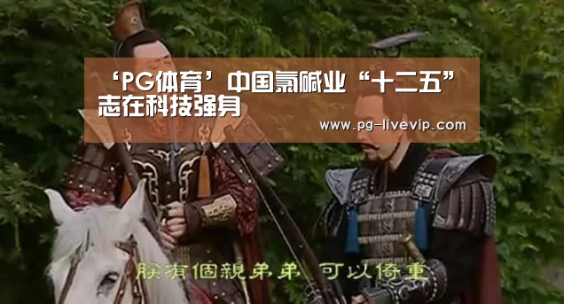 ‘PG体育’中国氯碱业“十二五”志在科技强身(图4) PG体育