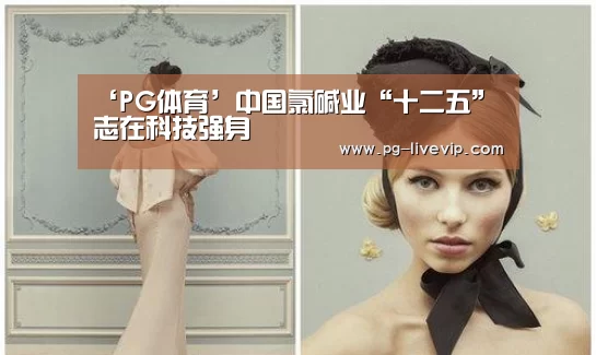‘PG体育’中国氯碱业“十二五”志在科技强身(图2) PG足球